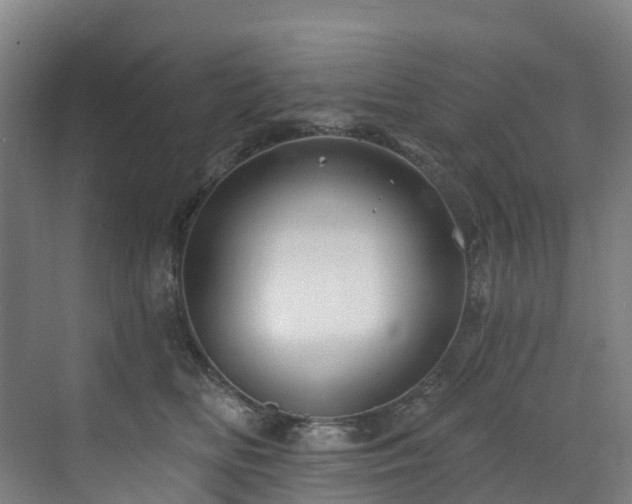 X0000073420518200607281156