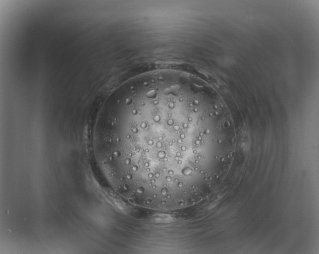 X0000073420519200607281156