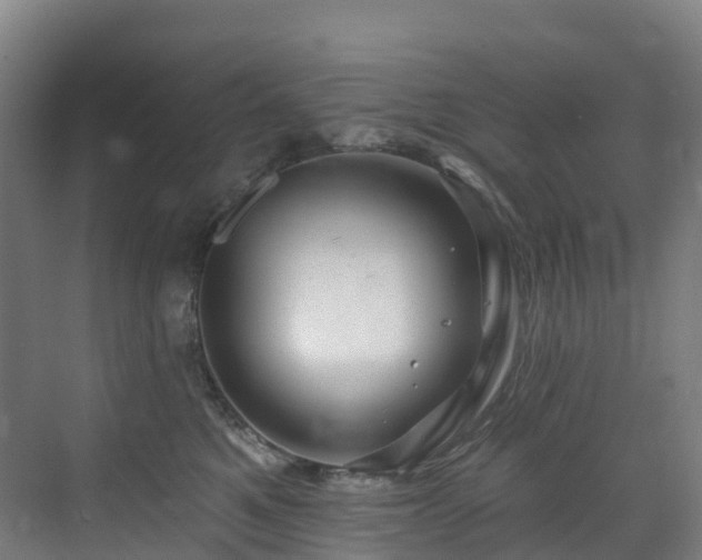 X0000073420521200607281156