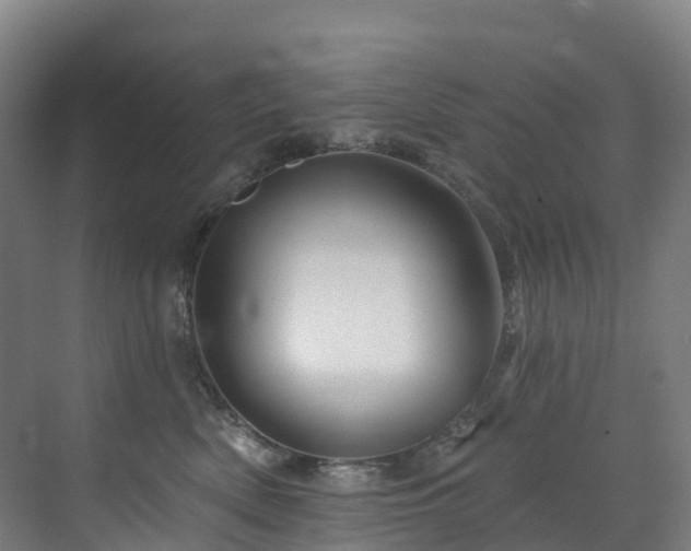 X0000073420522200607281156