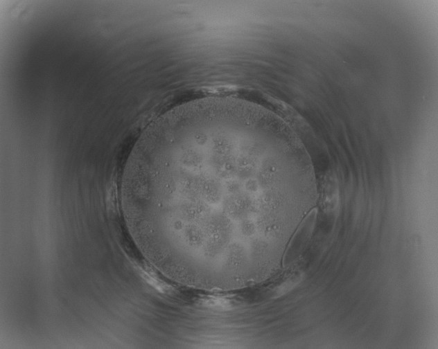 X0000073420523200607281156