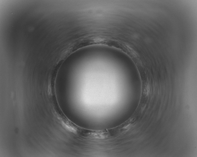 X0000073420524200607281156