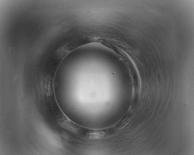 X0000073420525200607281156