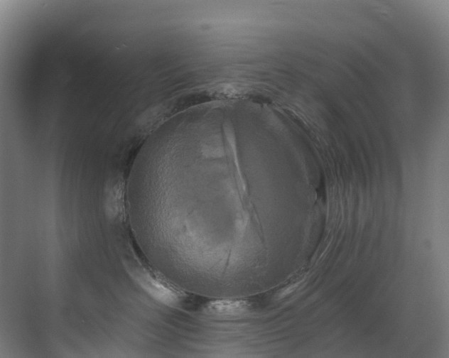 X0000073420526200607281155