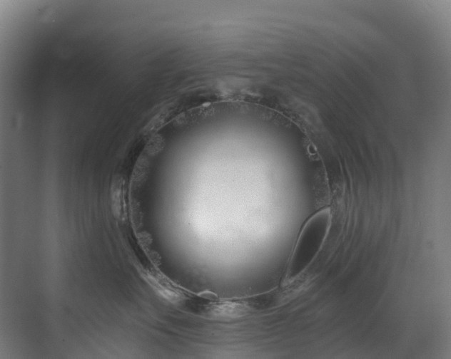 X0000073420527200607281155