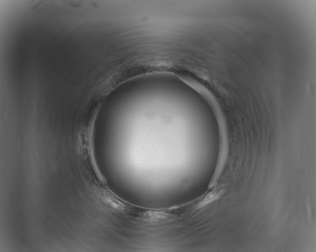 X0000073420528200607281155