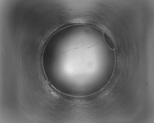 X0000073420529200607281155