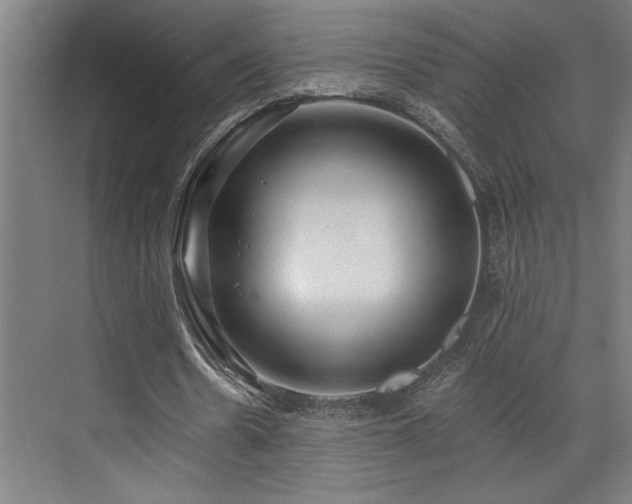 X0000073420530200607281155