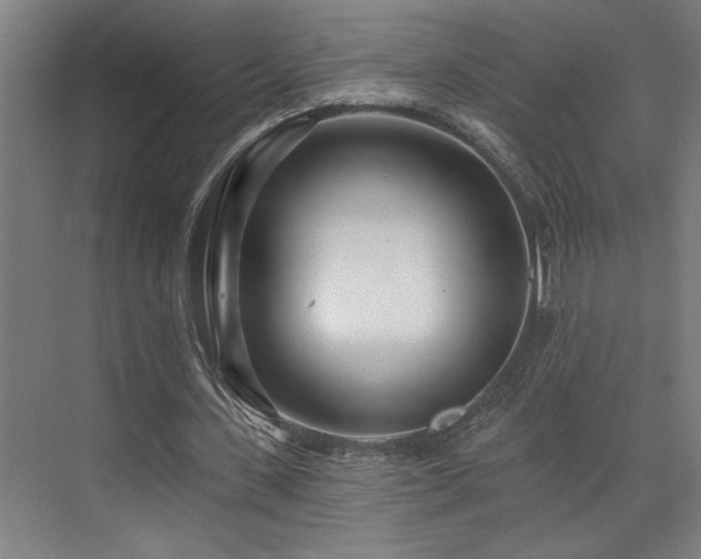 X0000073420531200607281155