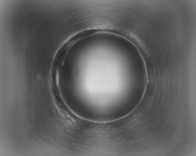 X0000073420532200607281155