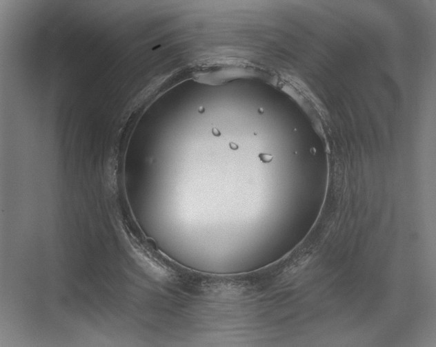 X0000073420533200607281155