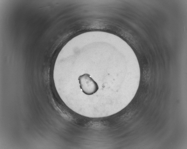 X0000073420534200607281155