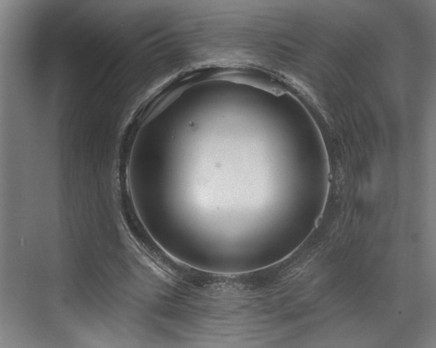 X0000073420535200607281155