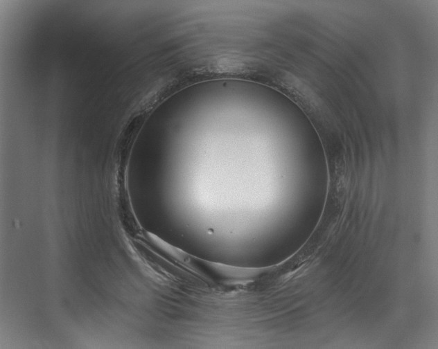 X0000073420542200607281155