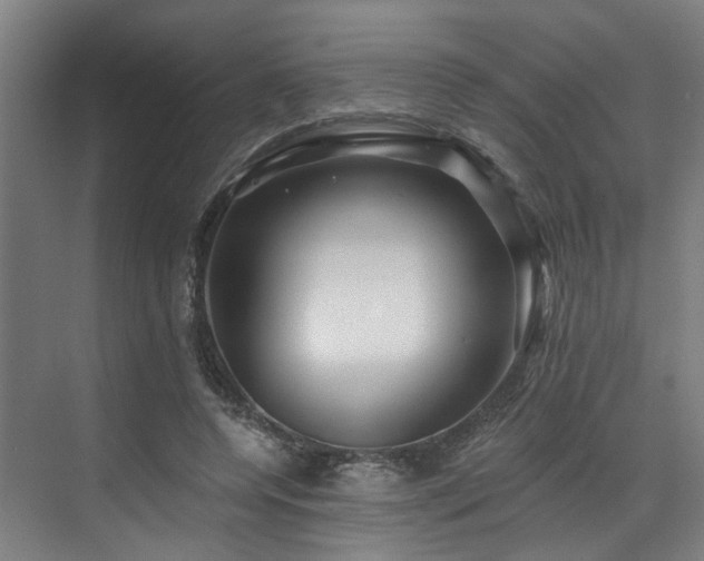 X0000073420544200607281155