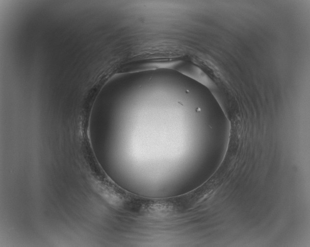 X0000073420546200607281155