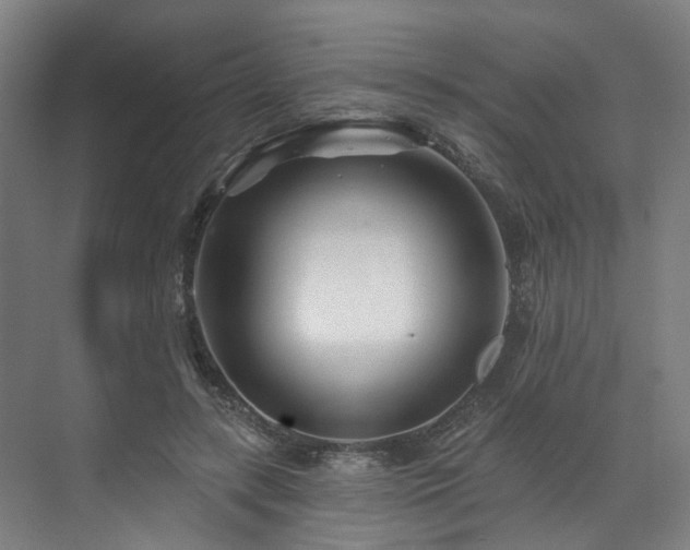 X0000073420547200607281155