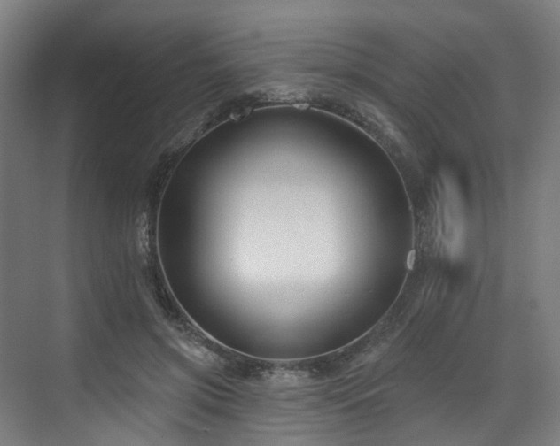 X0000073420549200607281155