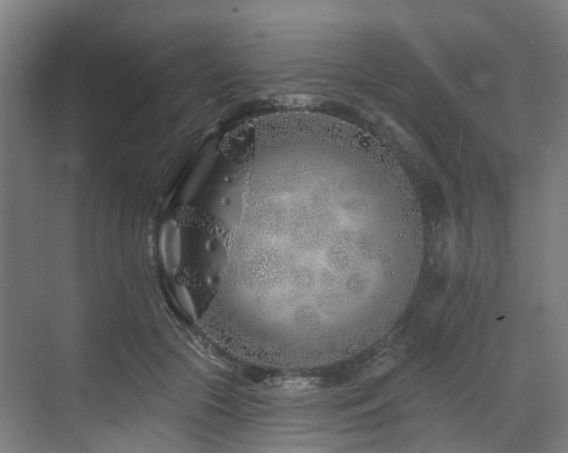 X0000073420553200607281155