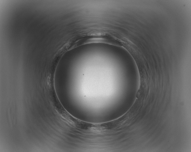 X0000073420556200607281155