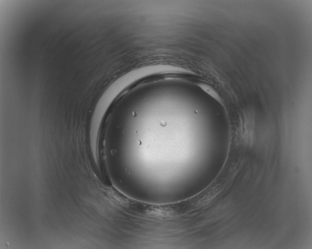 X0000073420561200607281155