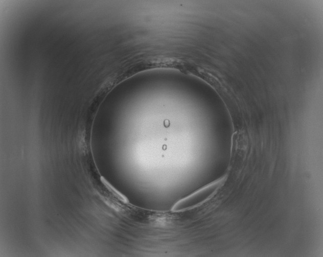 X0000073420564200607281155