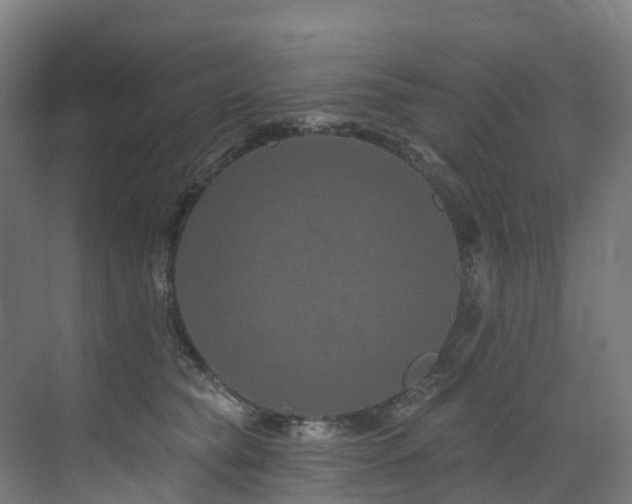 X0000073420565200607281155