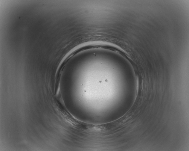 X0000073420566200607281155