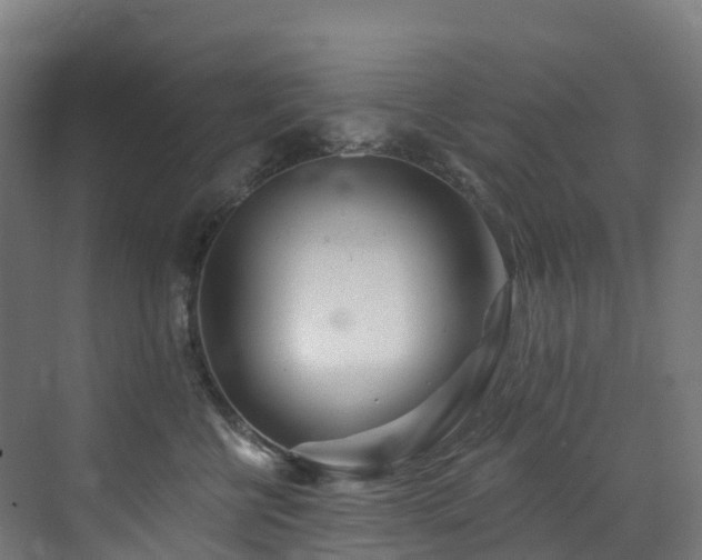 X0000073420570200607281155