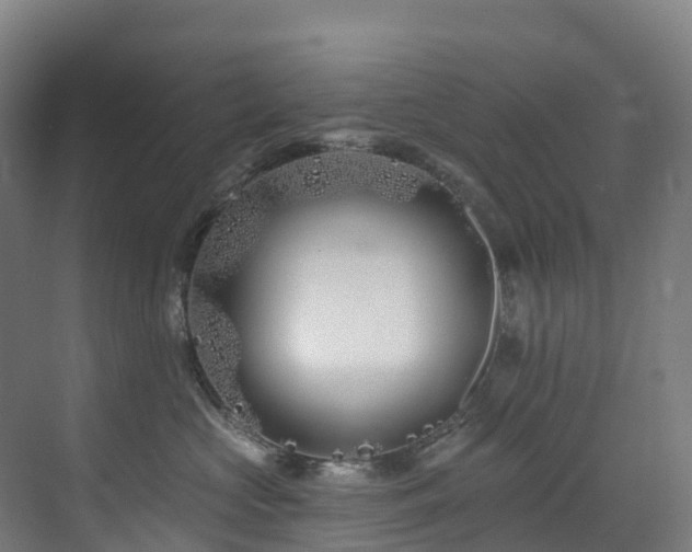 X0000073420573200607281155