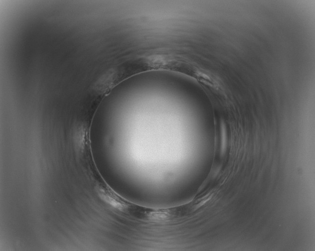 X0000073420574200607281155