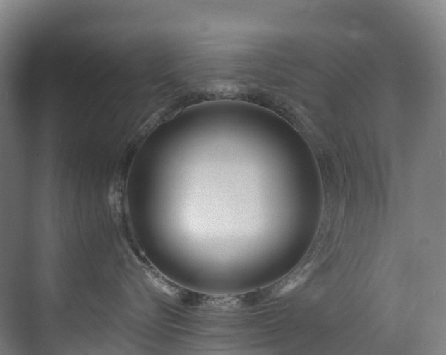 X0000073420576200607281155