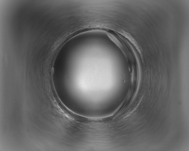 X0000073420577200607281155