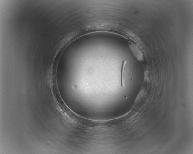 X0000073420578200607281155