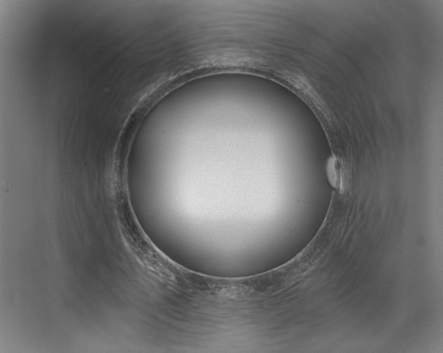 X0000073420579200607281155