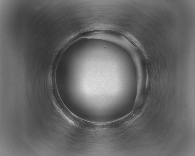 X0000073420581200607281155