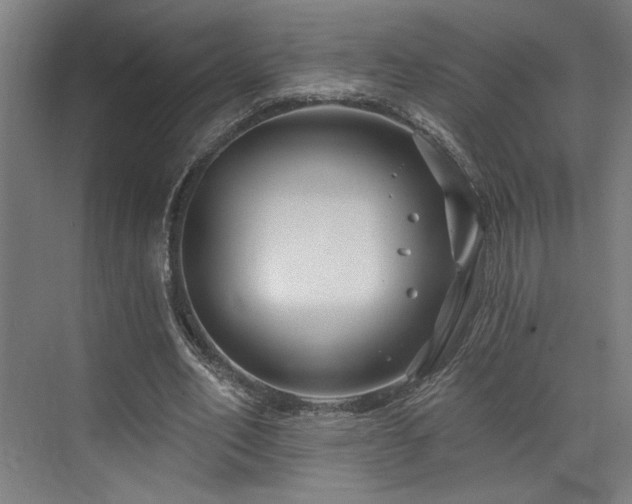 X0000073420582200607281155