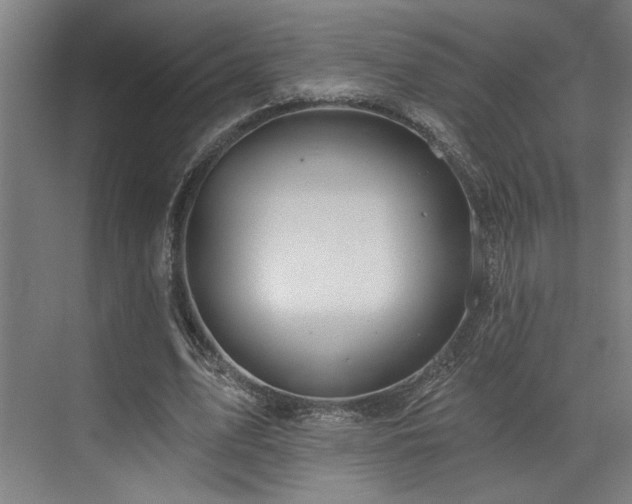 X0000073420583200607281155