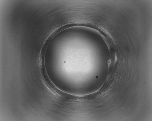 X0000073420584200607281155