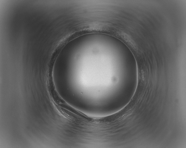 X0000073420588200607281154