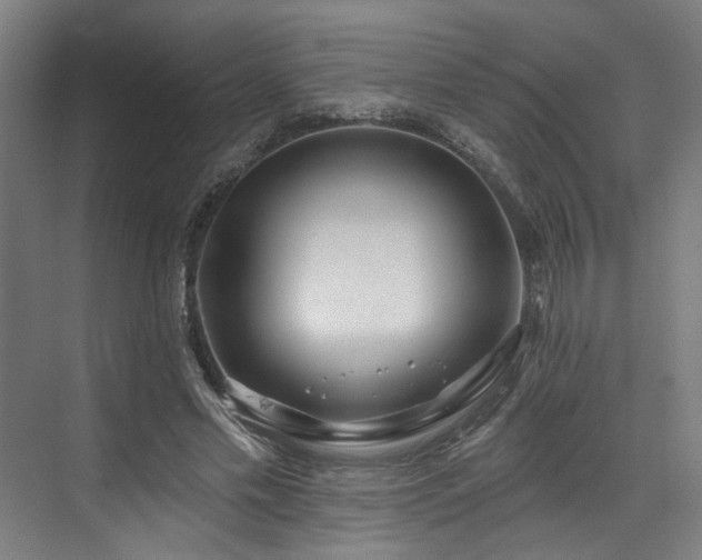 X0000073420589200607281154