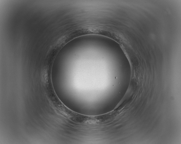 X0000073420595200607281154