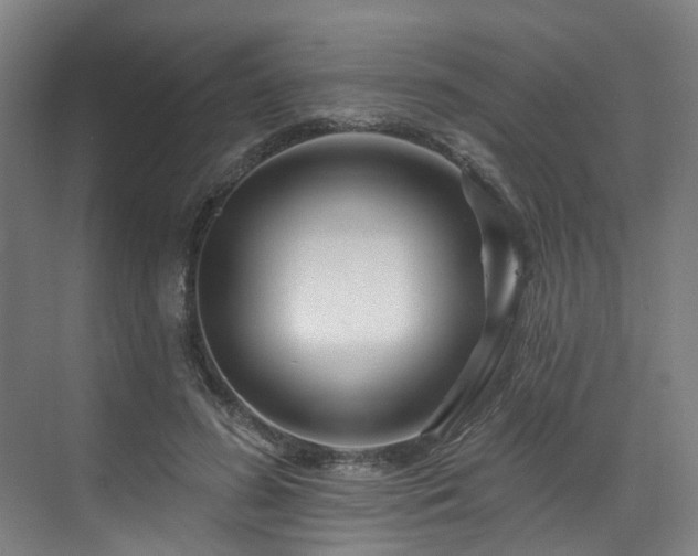 X0000073420596200607281154