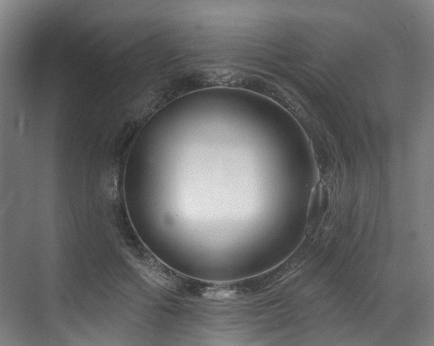 X0000073420602200607281154