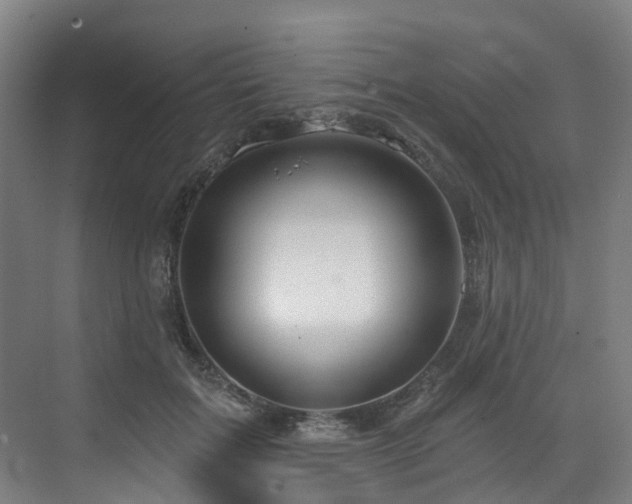 X0000073420603200607281154