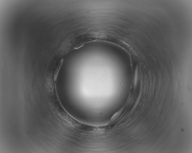 X0000073420609200607281154