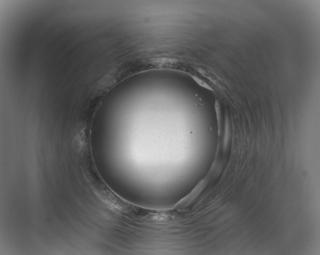 X0000073420611200607281154