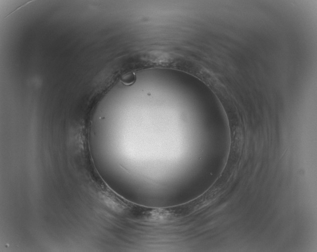 X0000073420612200607281154