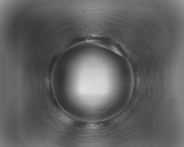 X0000073420613200607281154