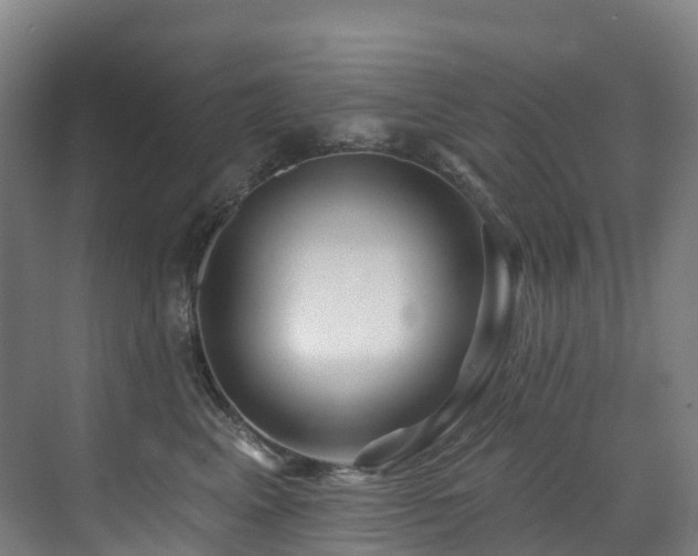 X0000073420617200607281154